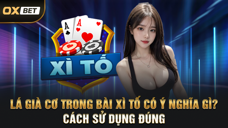 Lá Già Cơ Trong Bài Xì Tố Có Ý Nghĩa Gì? Cách Sử Dụng Đúng