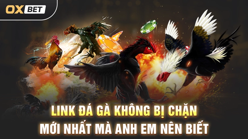 Link Đá Gà Không Bị Chặn Mới Nhất Mà Anh Em Nên Biết