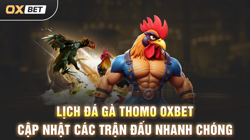Lịch Đá Gà Thomo OXBET - Cập Nhật Các Trận Đấu Nhanh Chóng
