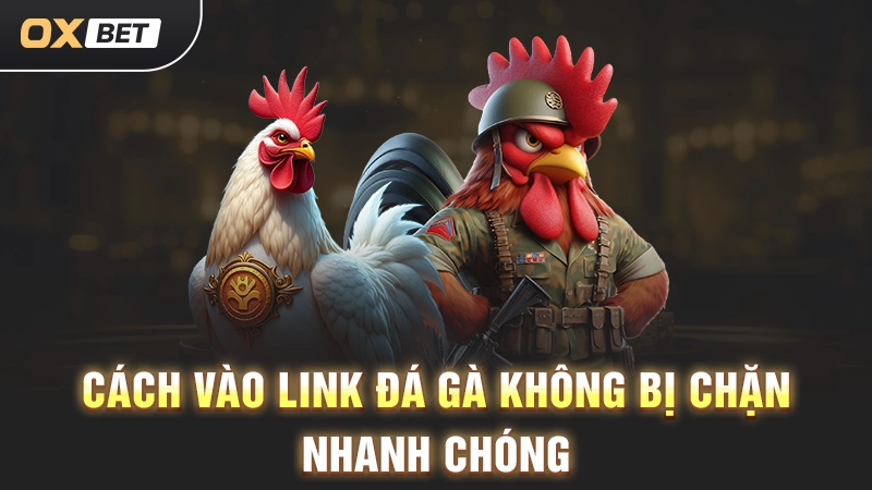 Cách vào link đá gà không bị chặn nhanh chóng
