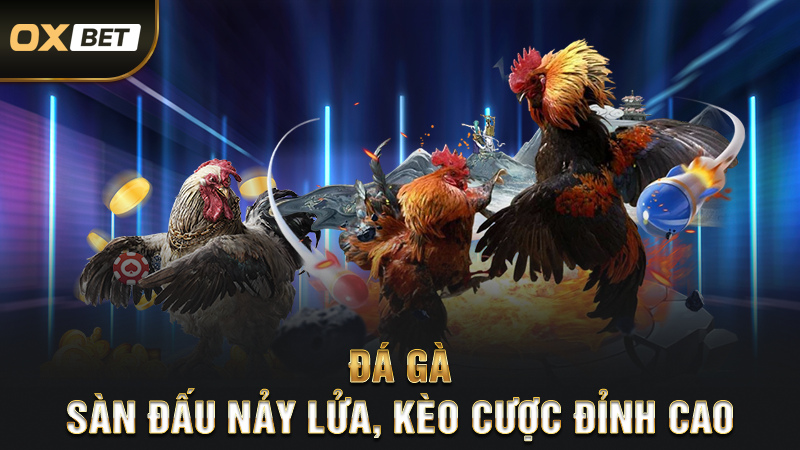 Đá Gà – Sàn Đấu Nảy Lửa, Kèo Cược Đỉnh Cao
