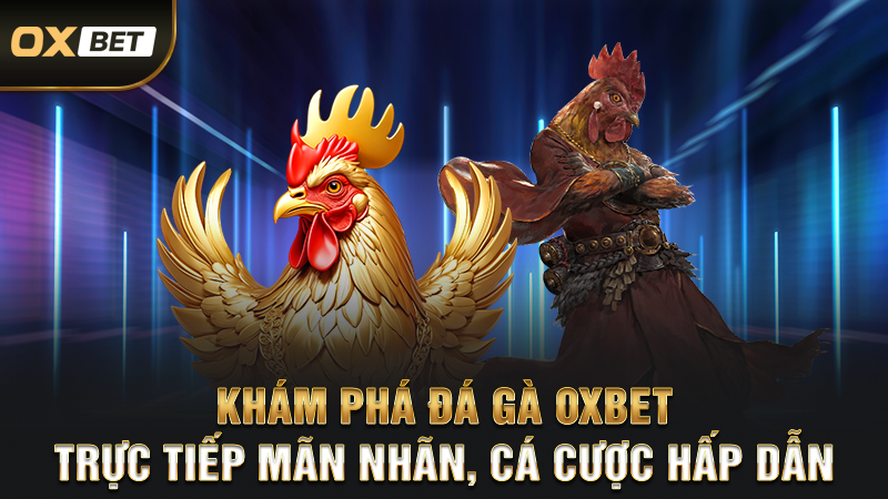 Khám Phá Đá Gà OXBET – Trực Tiếp Mãn Nhãn, Cá Cược Hấp Dẫn